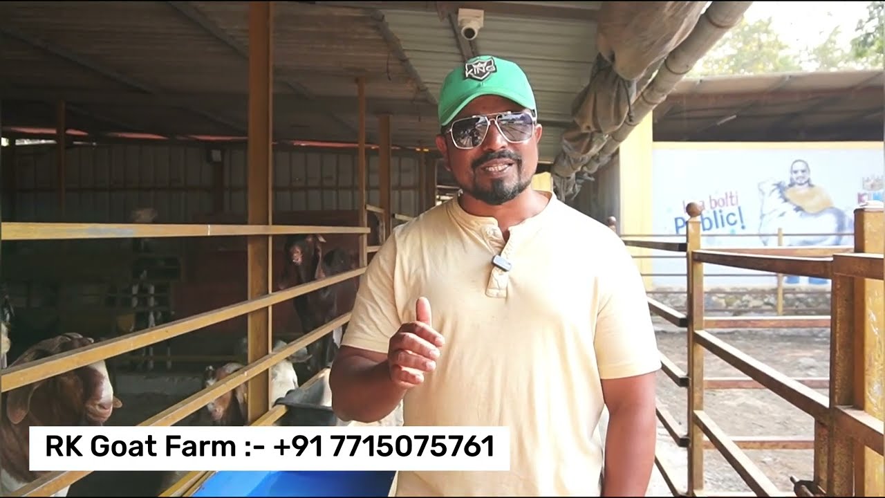 Goat Feed management on RK Goat Farm | Agro Entertainment