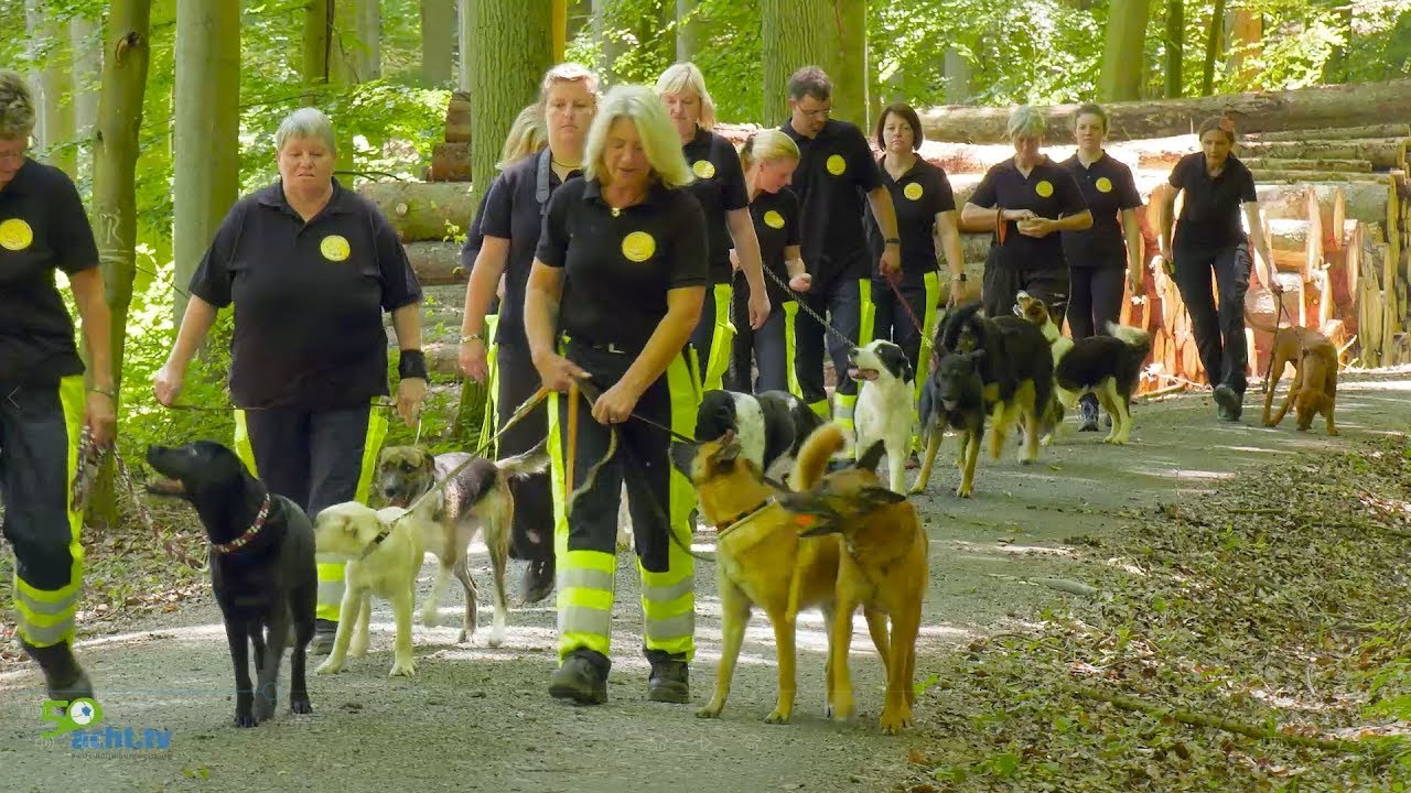Die Rettungshundestaffel Goldener Grund - Teil 1