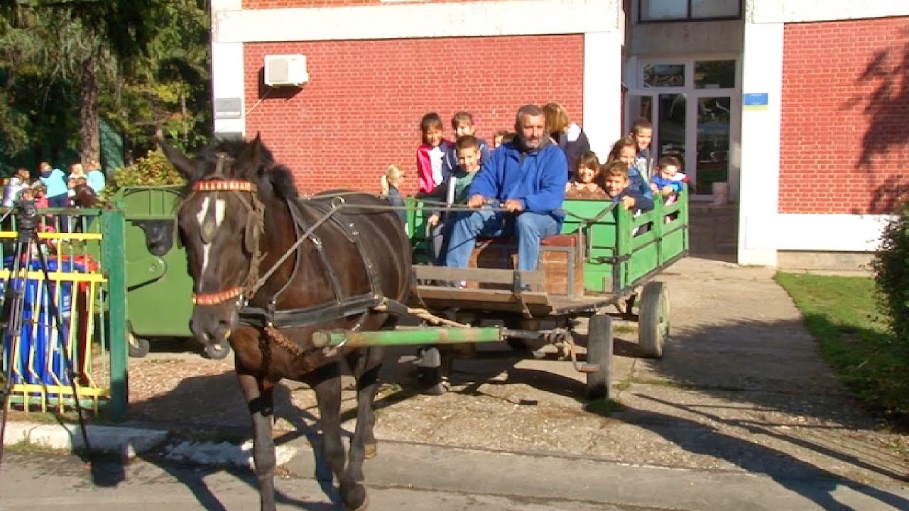 Izložba kućnih ljubimaca u vrtiću 