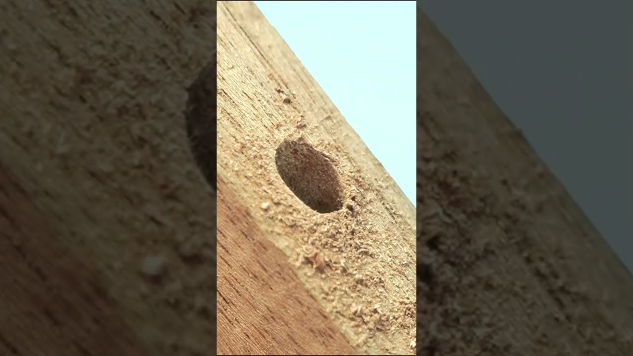 tips on how to fasten wood with bolts