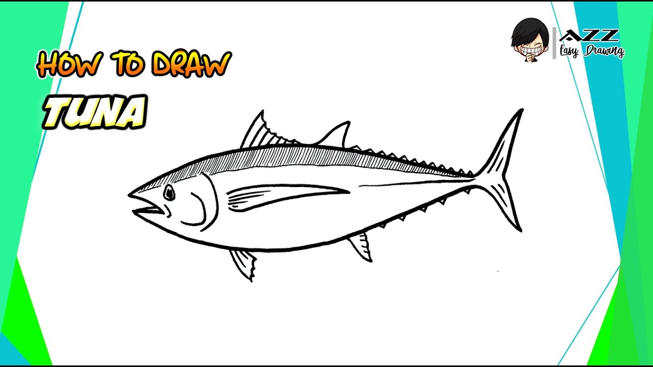 How to draw Tuna Fish step by step
