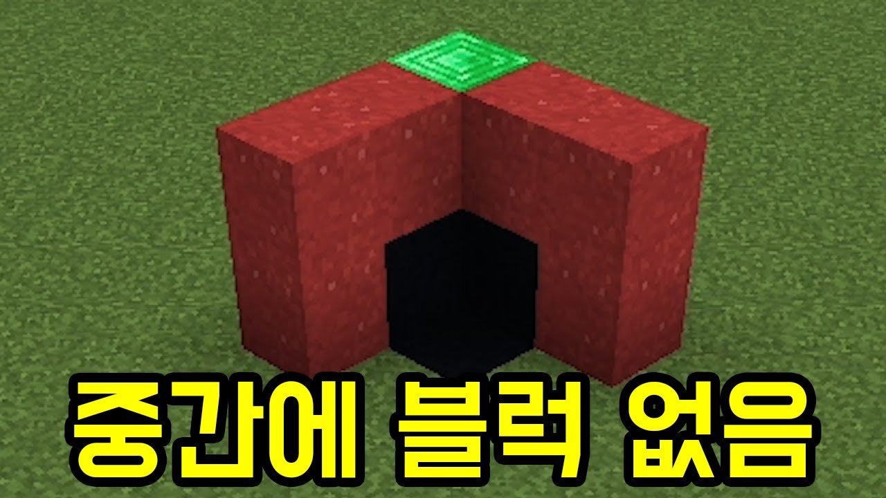 착시를 보여주고 싶었을 뿐인데(마인크래프트)