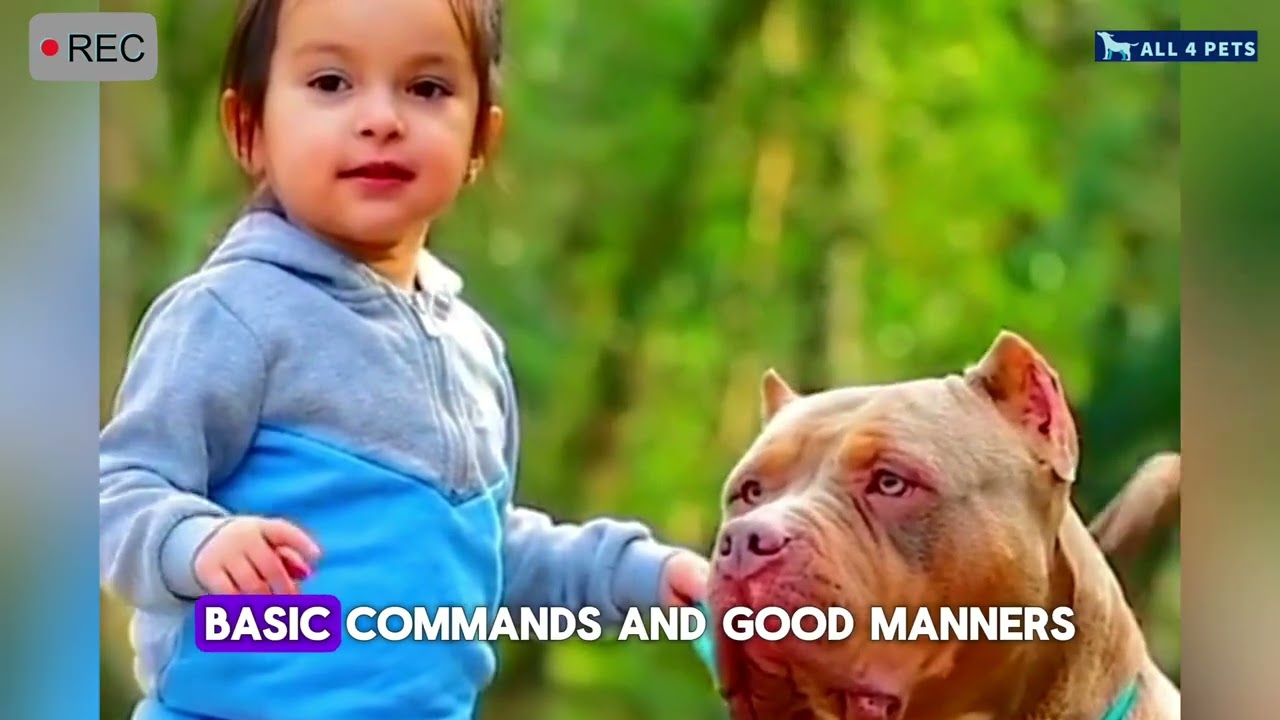 Dogs bonding with Kids 