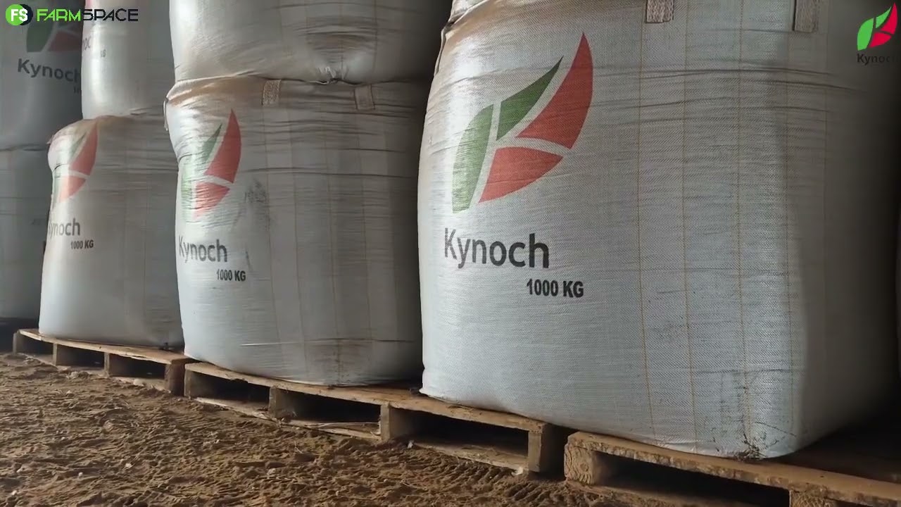 'n Verhouding wat steeds vrugte afwerp   14 jaar met Kynoch
