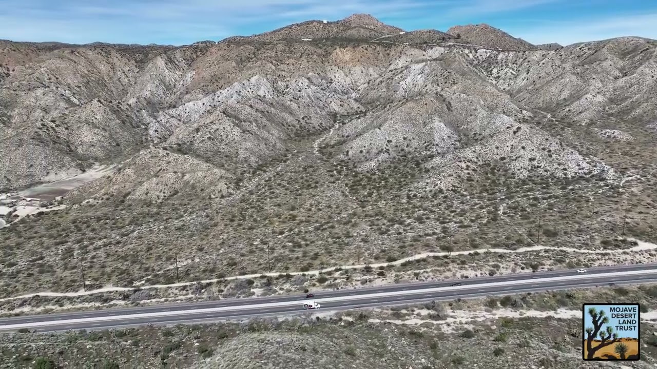 A wildlife corridor in the Mojave Desert