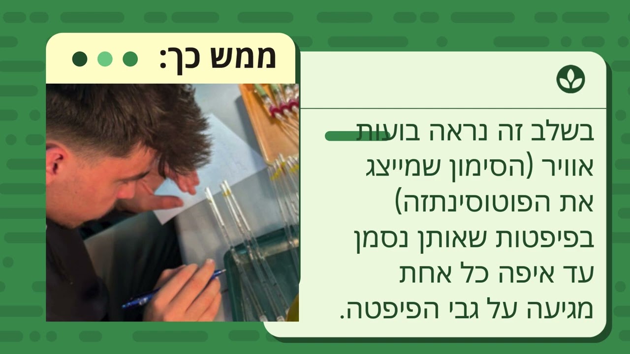 סרטוןן ביוחקר ברשת יהונתן כספי ושחר וידלץ