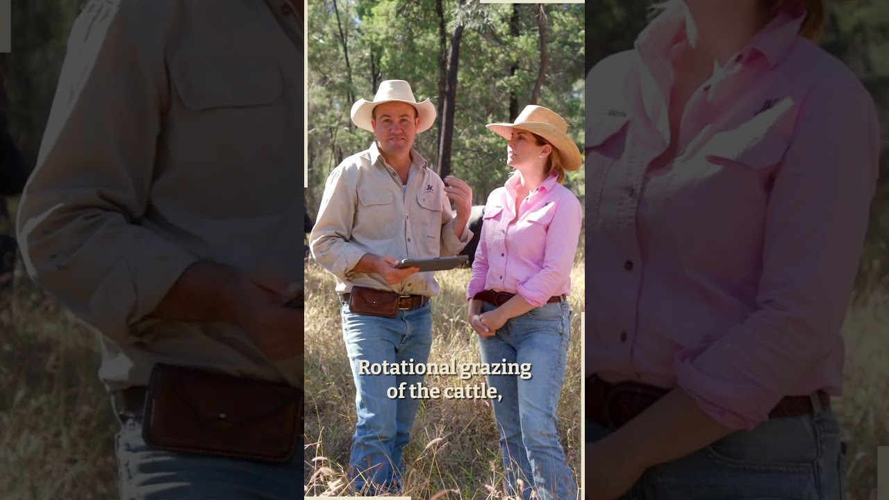 How rotational grazing sustains land, animals and farmers