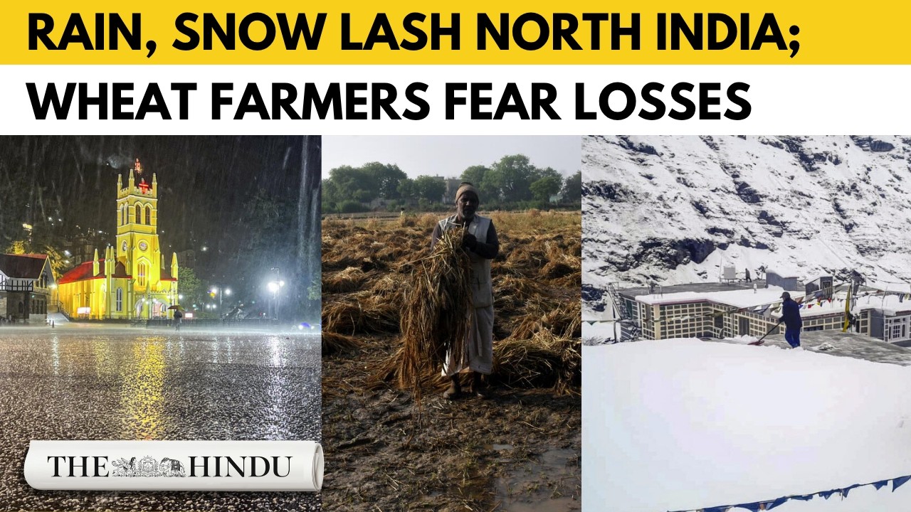Western disturbance brings rain, snow to parts of North India; wheat crops at risk