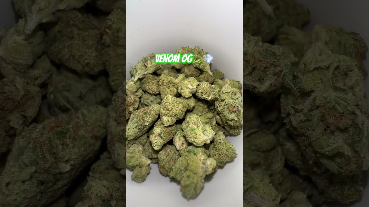 $48 half oz Venom Og🐍🔥⛽️💨| THCA King #420community #cannabiscommunity420 #stayhigh