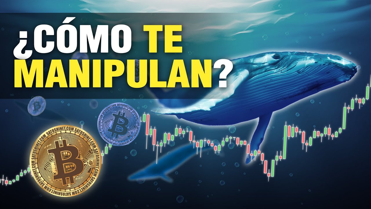 🐋BALLENAS🐋 &iquest;Como Manipulan Las Criptomonedas?