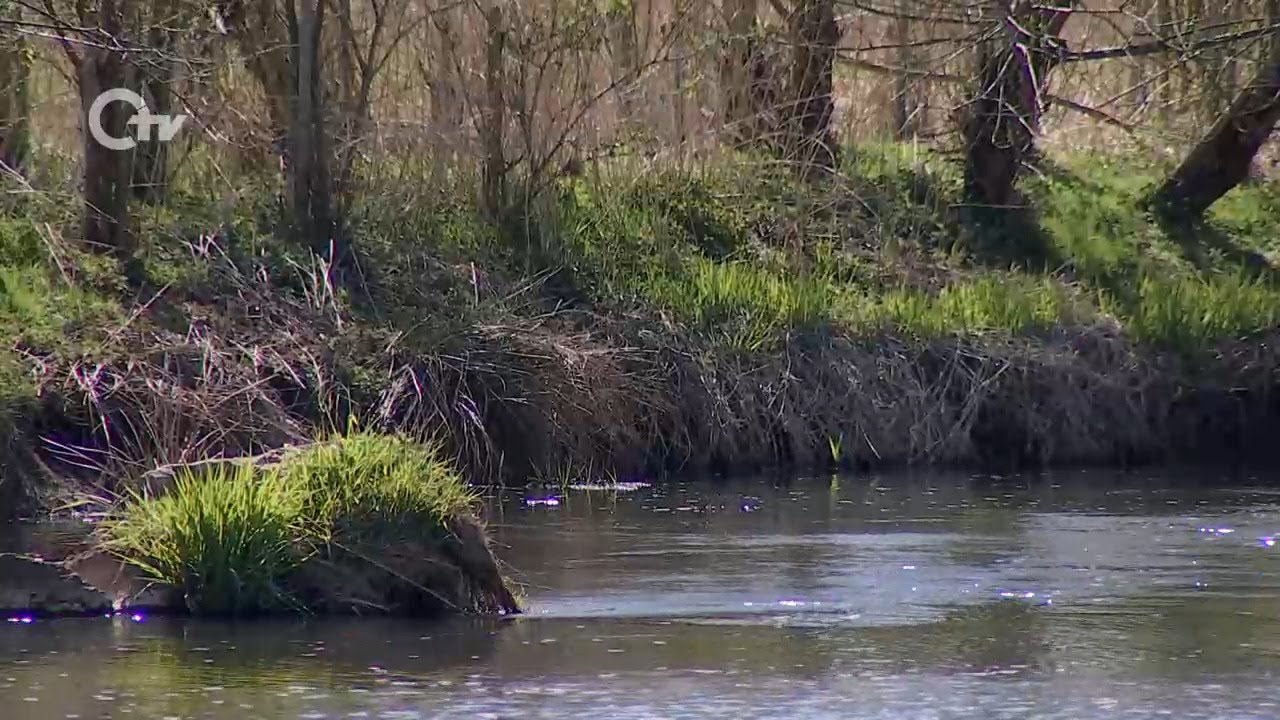 Urlaub dahoam: Vilsauen in Vilseck