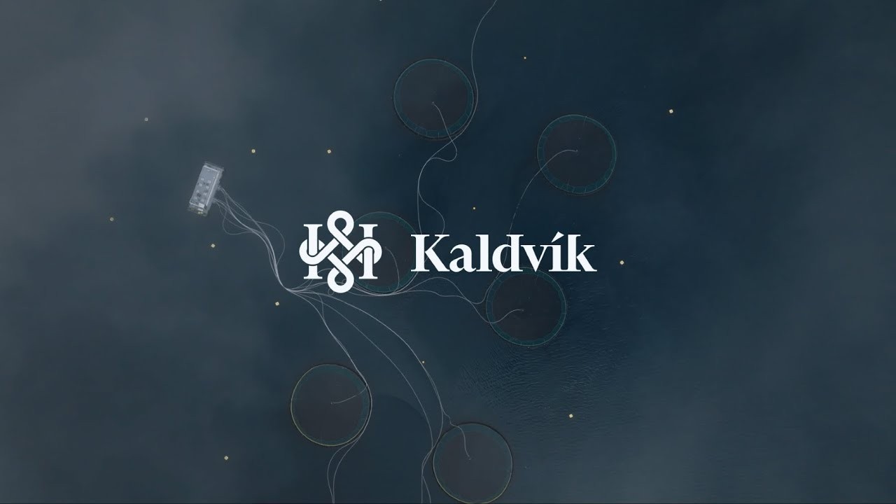 2025 - Q4 Results LIVE | Kaldvík hf.