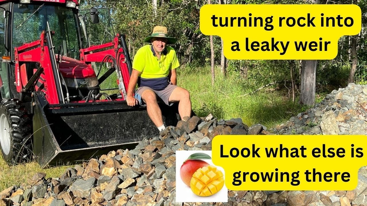 Leaky Weirs completed, fixed the erosion and an unusual fruit has appeared?