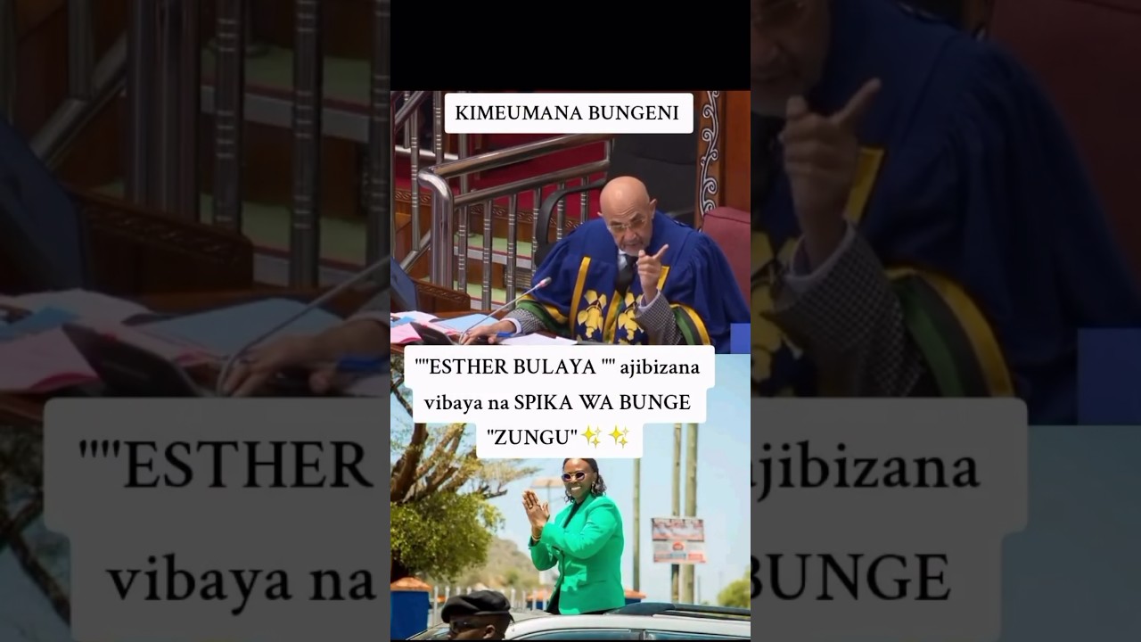 SPIKA WA BUNGE AKASIRIKA VIBAYA ESTHER BULAYA KUJIBIZANA NAYE