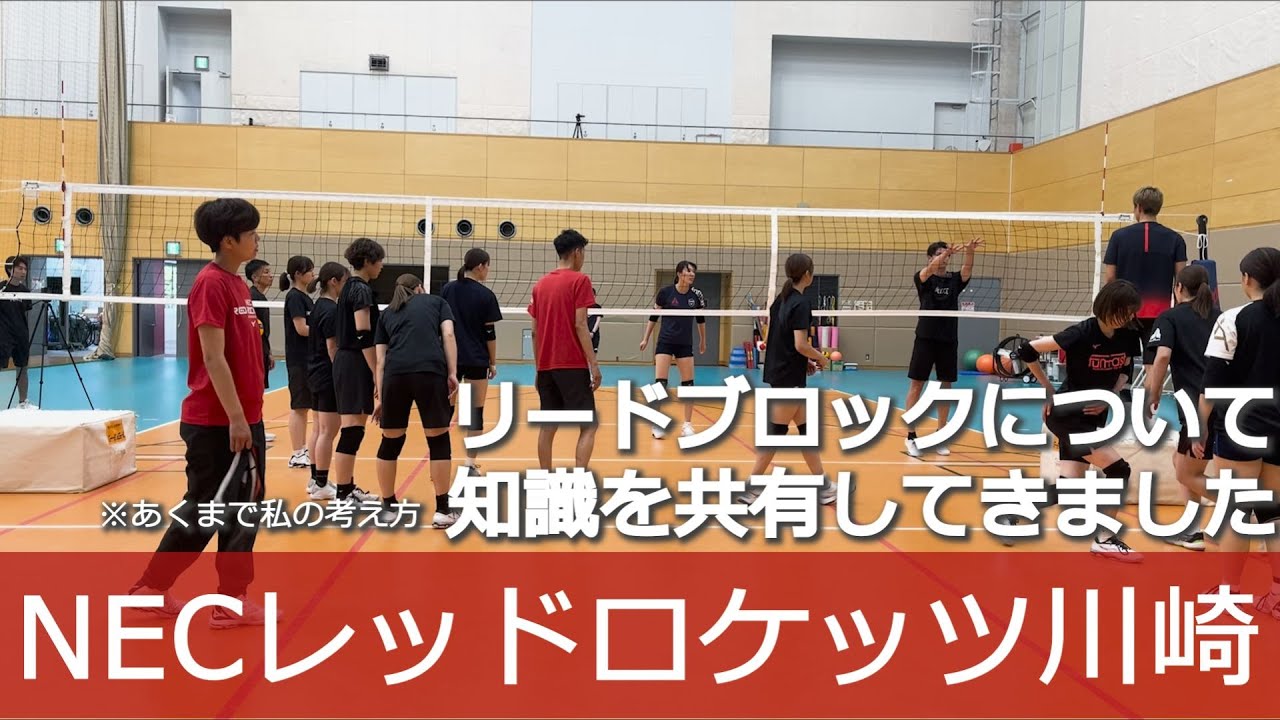 【NECレッドロケッツ川崎】ブロックのコツと考え方