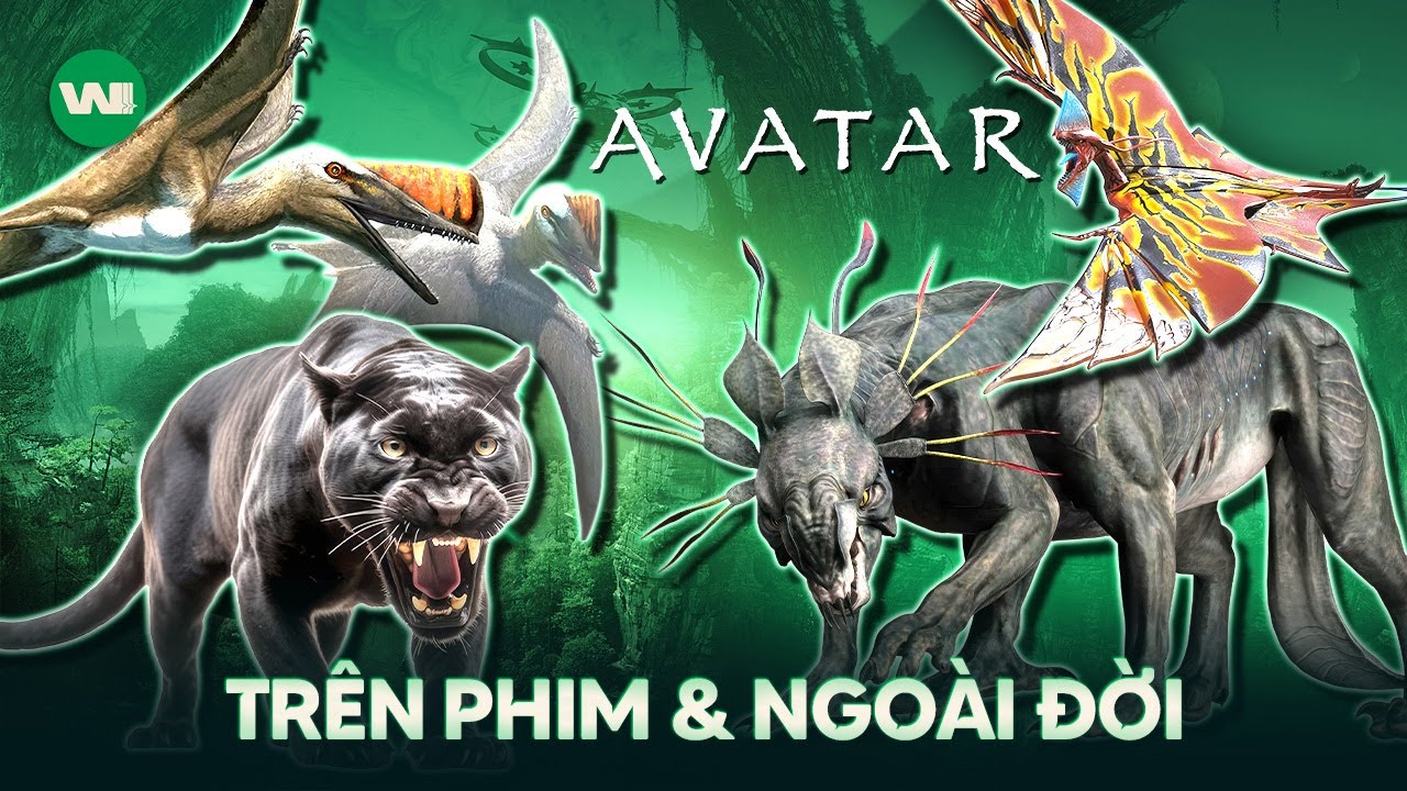 TOÀN BỘ BẢN GỐC NGOÀI ĐỜI CỦA CÁC SINH VẬT TRONG AVATAR