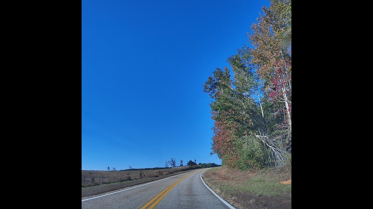 🚗 Scenic Drive on Georgia State Route 358