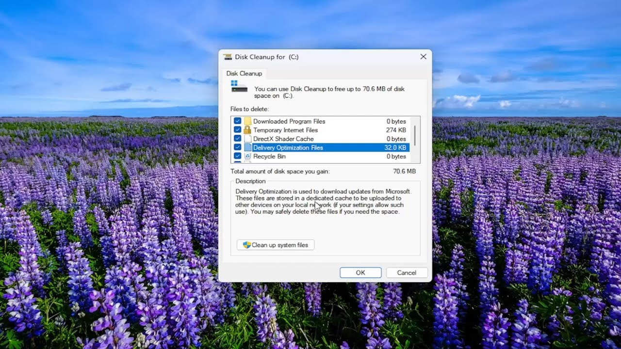 How To Clear/Delete Delivery Optimization Files In Windows 11/10 [Guide]