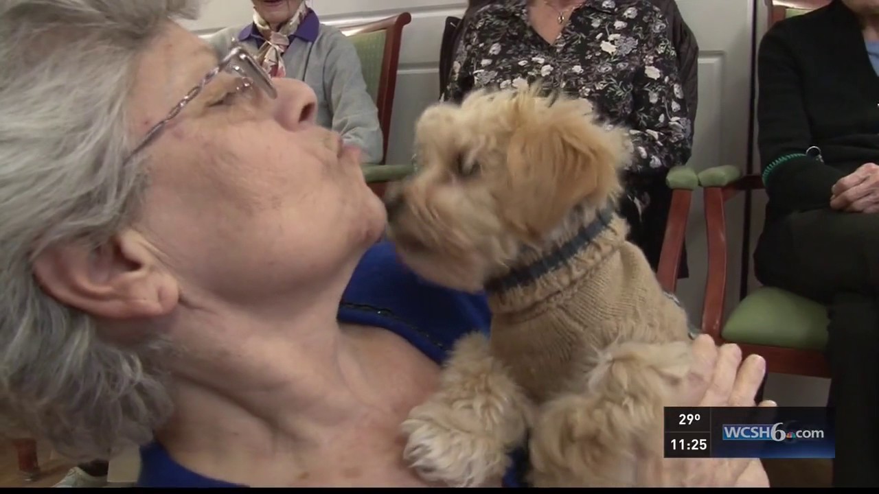Animal Refuge League Visits Scarborough Terrace