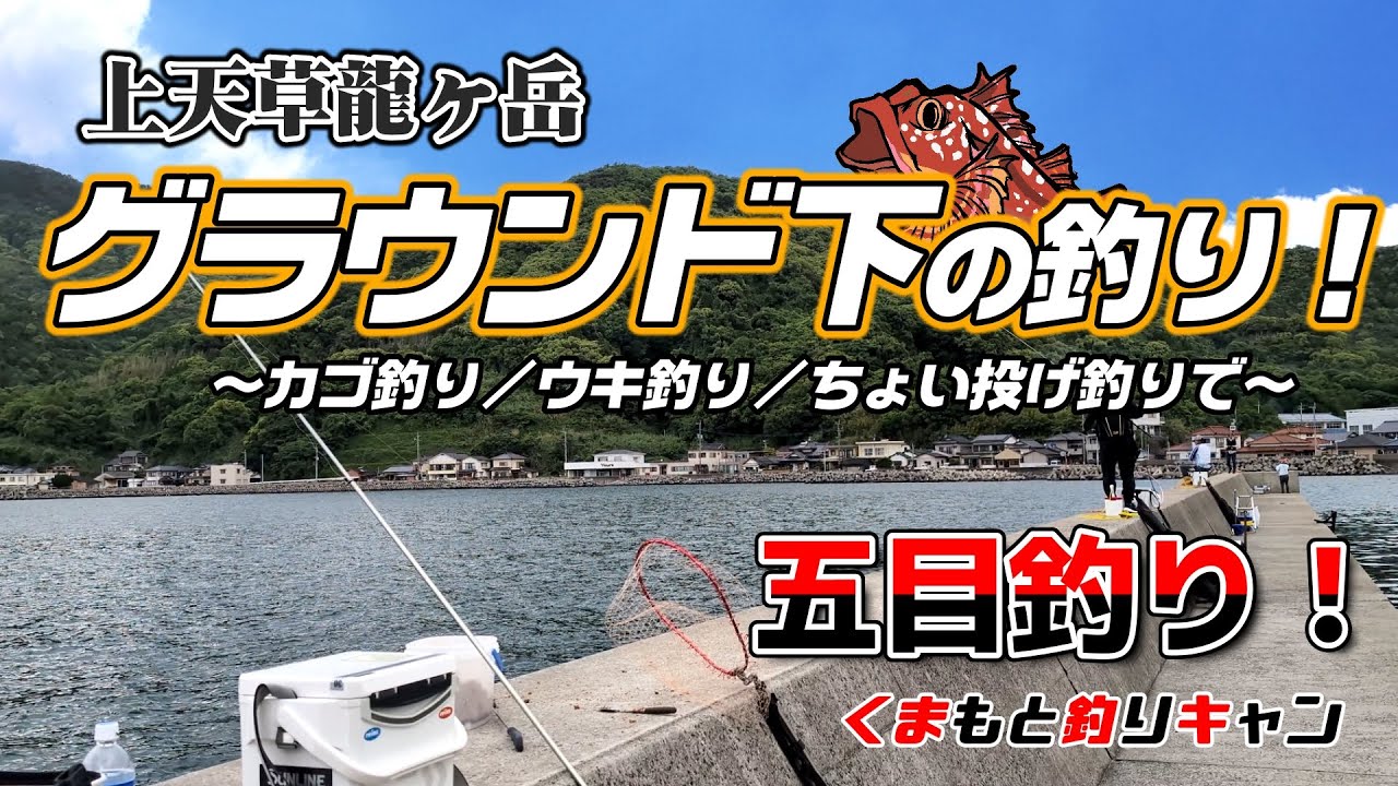 【上天草龍ヶ岳グラウンド下の五目釣り】チヌ釣り班活躍！潮に悩まされながらも仕留めたのは良型の本命！カゴ釣りでは意外な魚が連発！#熊本釣り #天草釣り #チヌ釣り