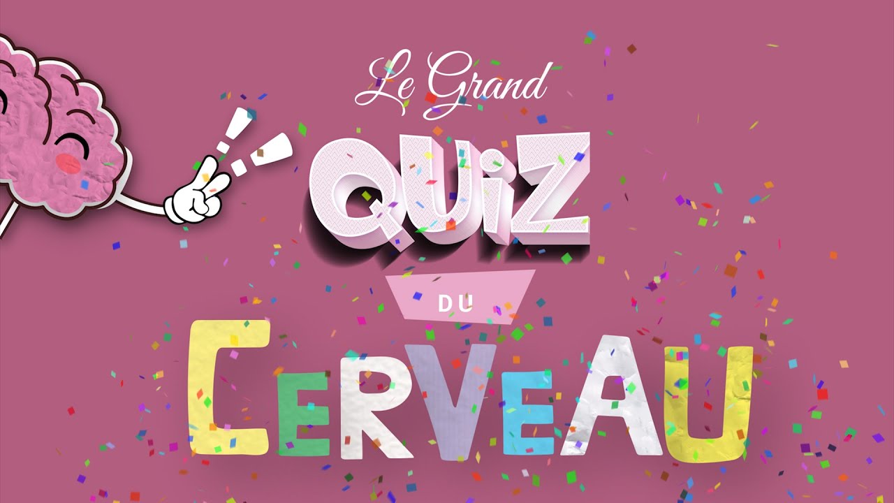 Le Grand Quiz Du Cerveau