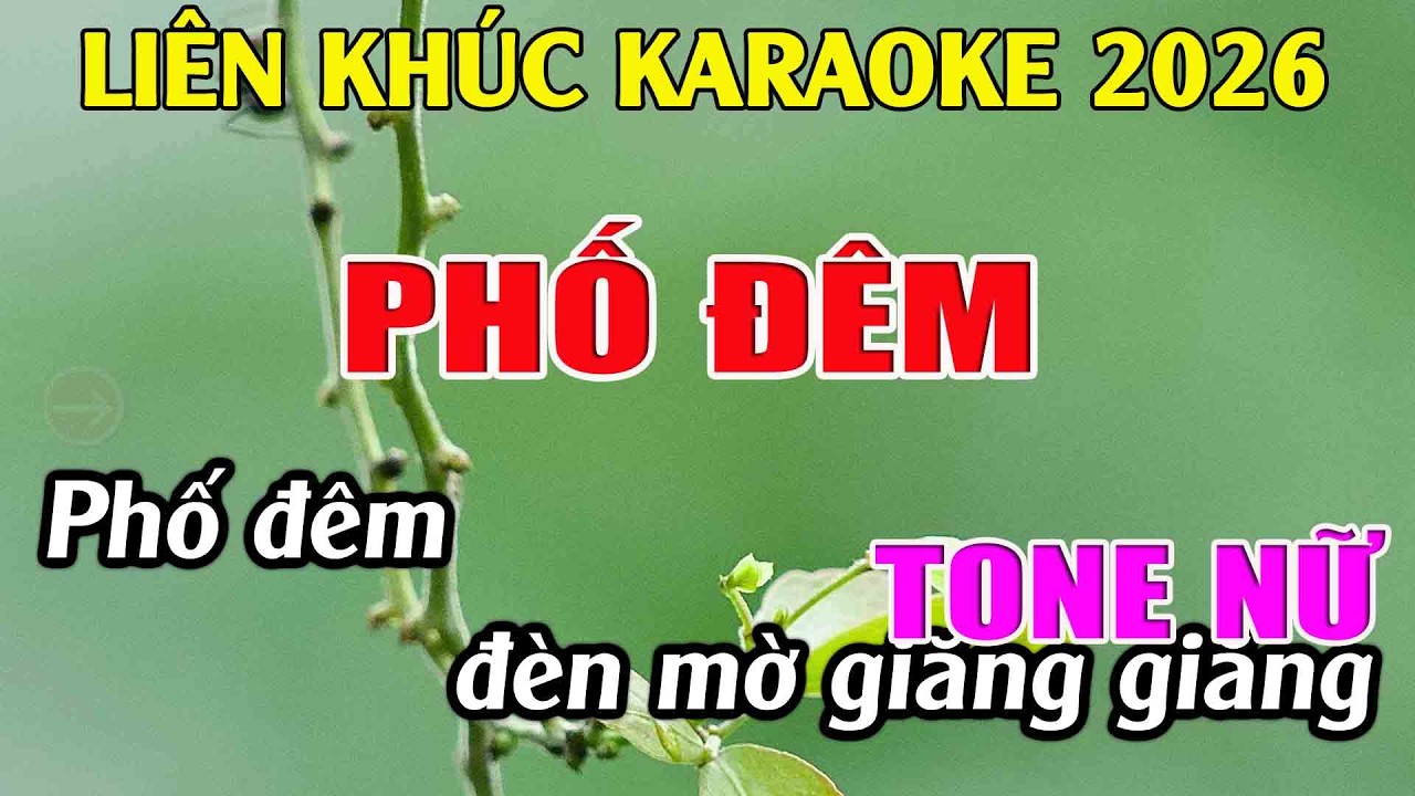 Liên Khúc Karaoke Tone Nữ Dễ Hát Karaoke Phố Đêm Karaoke Tuyệt Phẩm - Beat Mới