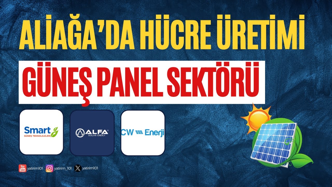 Hücre Üretimi Neden Önemli? Güneş Paneli Sektörü