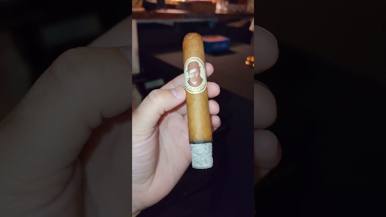 Better Than A Perdomo - Blind Man's Bluff Connecticut  #Cigars #CigarReview #Shorts #Cigar #caldwell