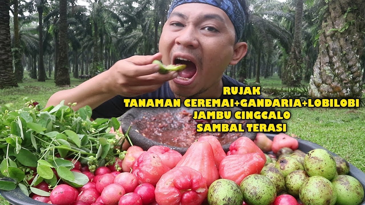 Mukbang Rujak Gandaria 🌿 Jambu Air & Daun Cereme, Asam Segar Bikin Nagih!