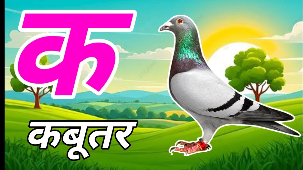 ka se kabutar kha se khargosh atoplay divya school