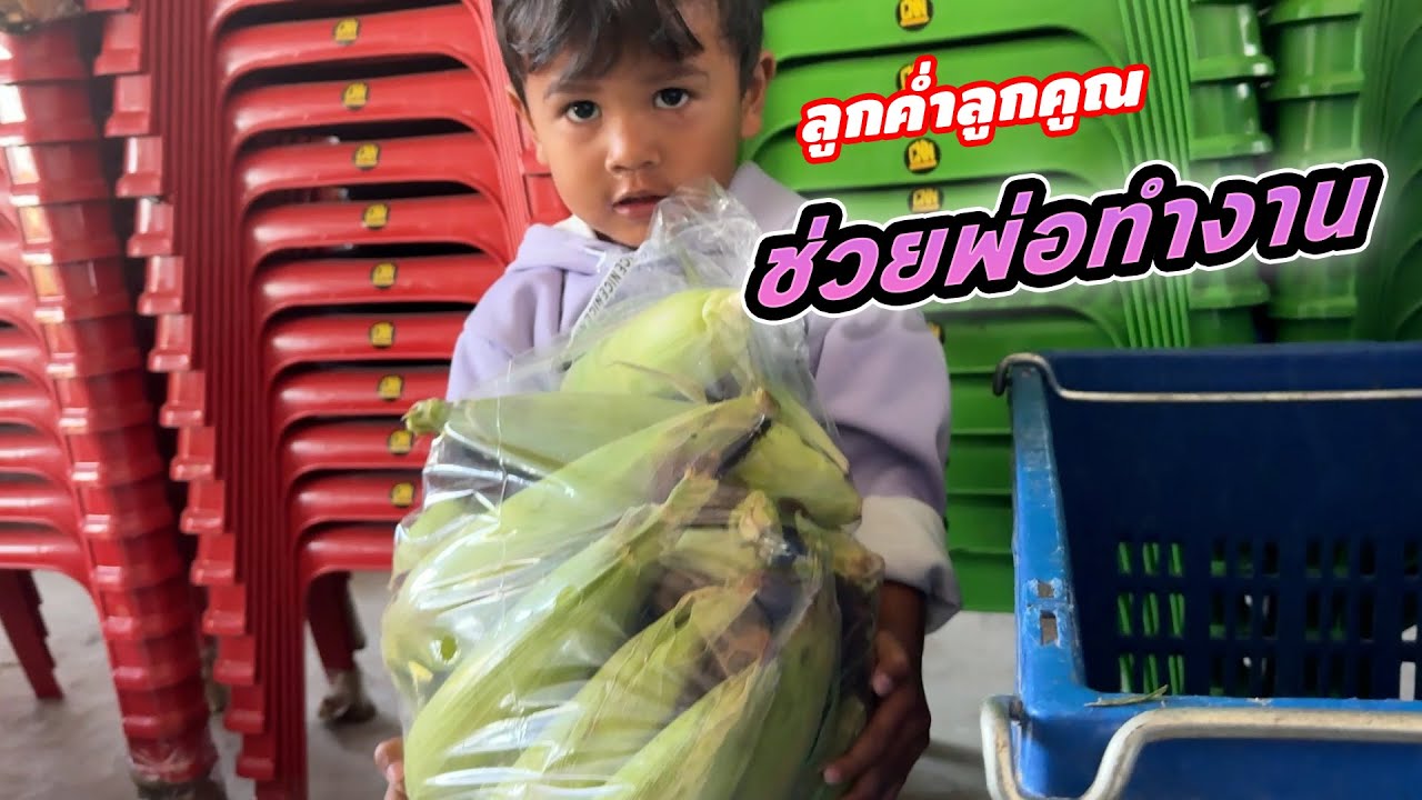 ต้นบัวช่วยพ่อทำงาน น่ารักมาก