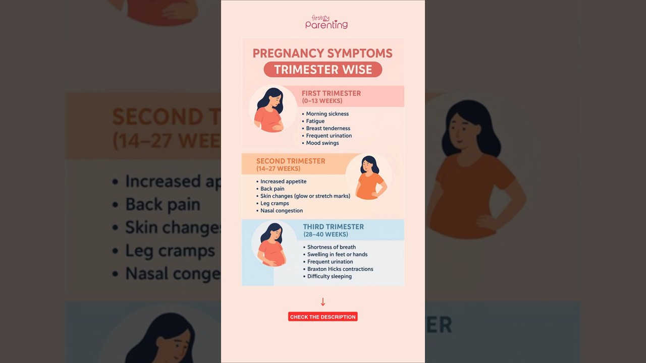 Pregnancy Symptoms Trimester Wise | Pregnancy 1st to 3rd Trimester | Pregnancy Guide