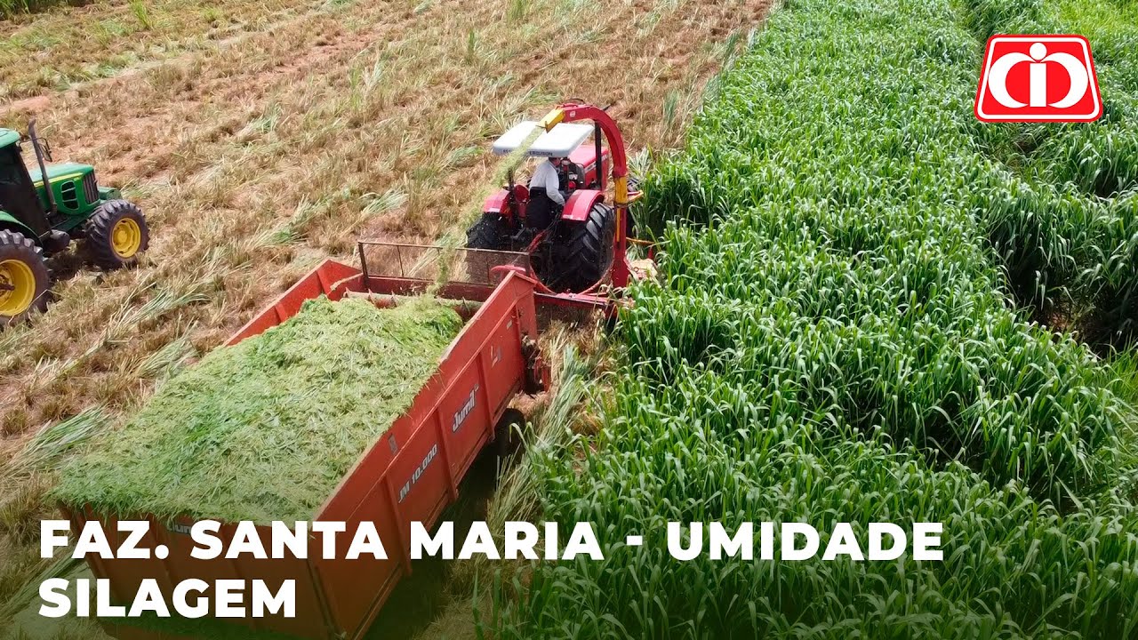 Fazenda Santa Maria - Umidade silagem