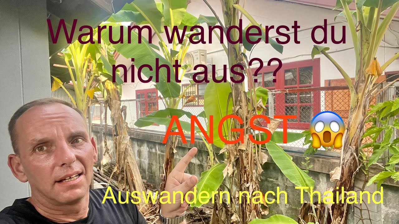Auswandern Thailand…. Warum nicht DU???? Scheitern, Angst, erfolgreich?
