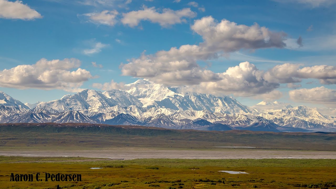 Polychrome Pass in Denali National Park with the Pines of Rome