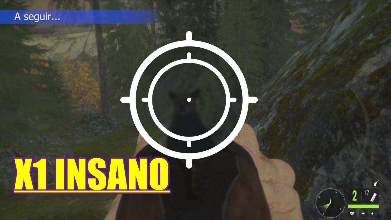 ABATI UM URSO NA FLORESTA CAÇANDO