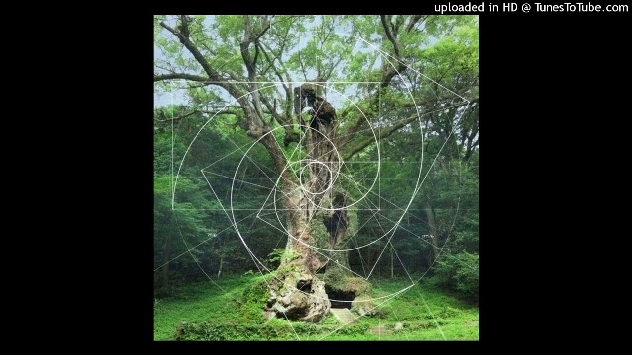 free! phritz ⭑ botanica ⭑ petalcore ⭑ dnb type beat (kenji & whitewarrior)