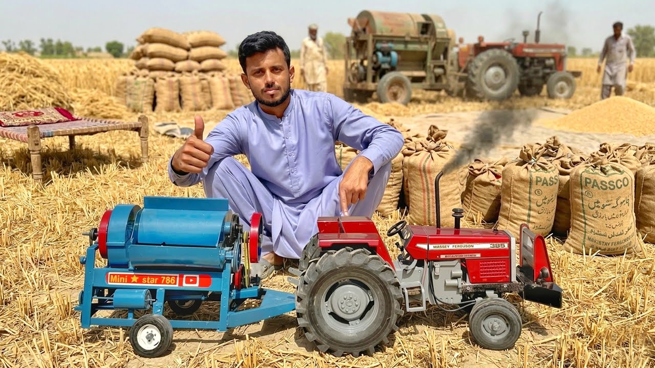 Most Powerful Handmade MF 385 Tractor & Mini Thresher | Real Wheat Harvesting