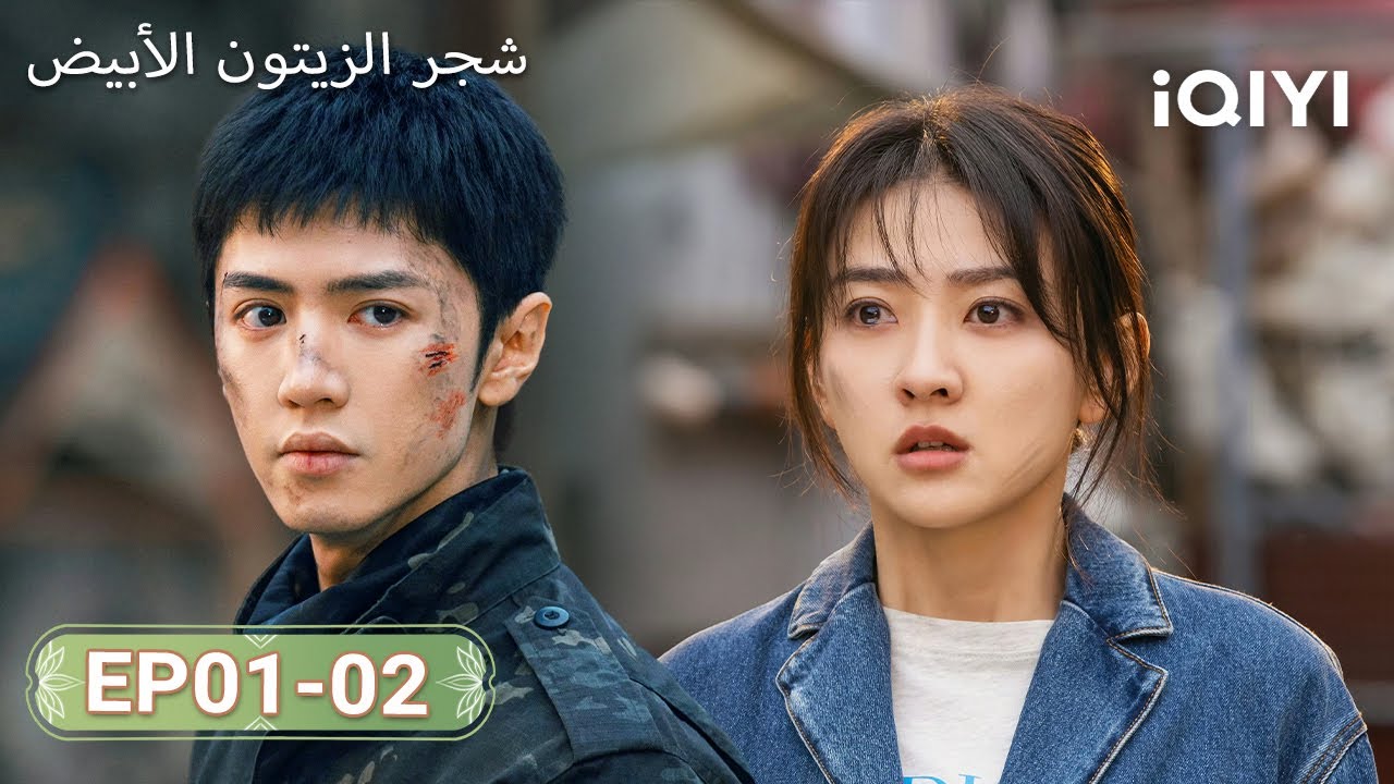 【FULL】شجر الزيتون الأبيض|TheWhiteOliveTree 01-02 | ChenZheYuan, LiangJie | iQIYI Arabic