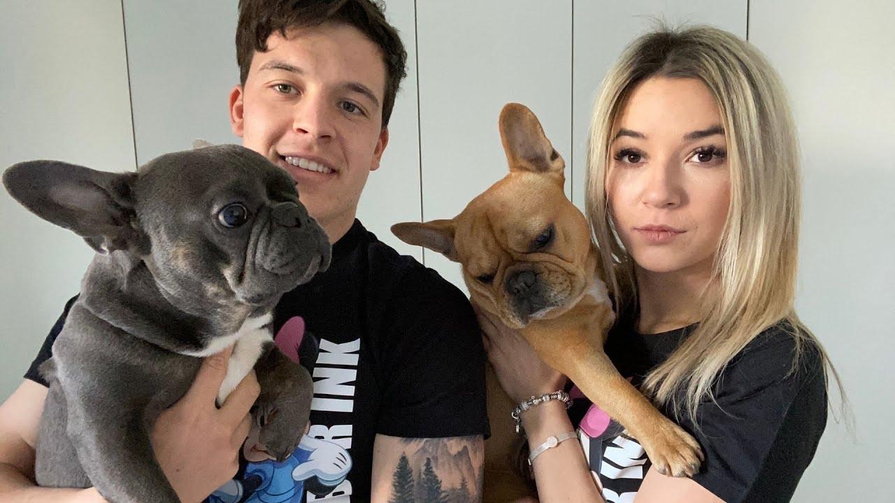 Family Trip / Long Walk With 2 Frenchies