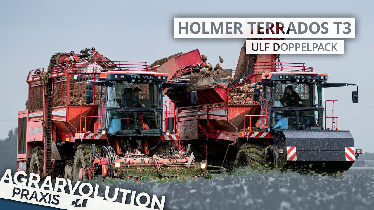 Holmer Terra Dos T3 + T3 ULF • Sugar beet harvest | Agrarvolution Praxis