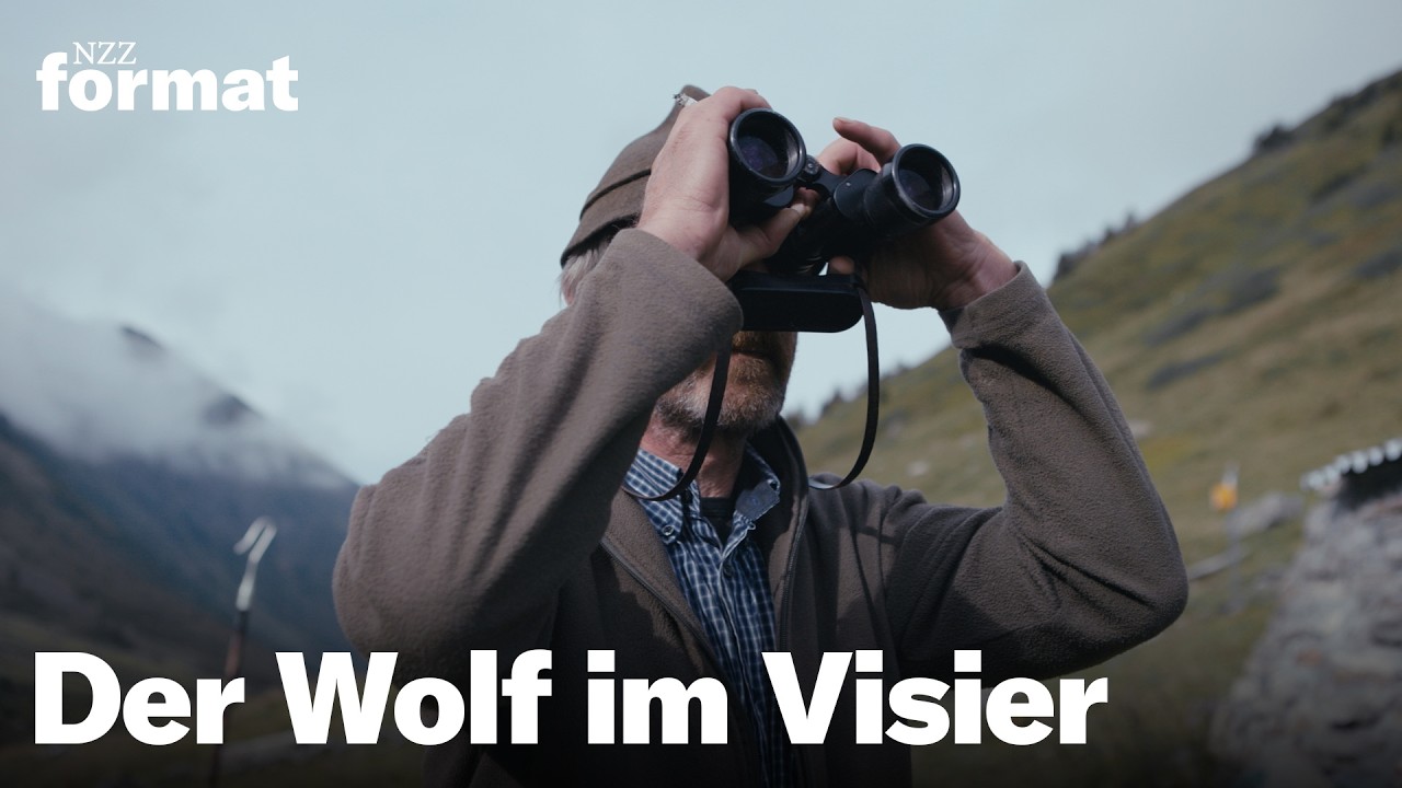 Doku: Der Wolf im Visier – Schutz oder Abschuss?