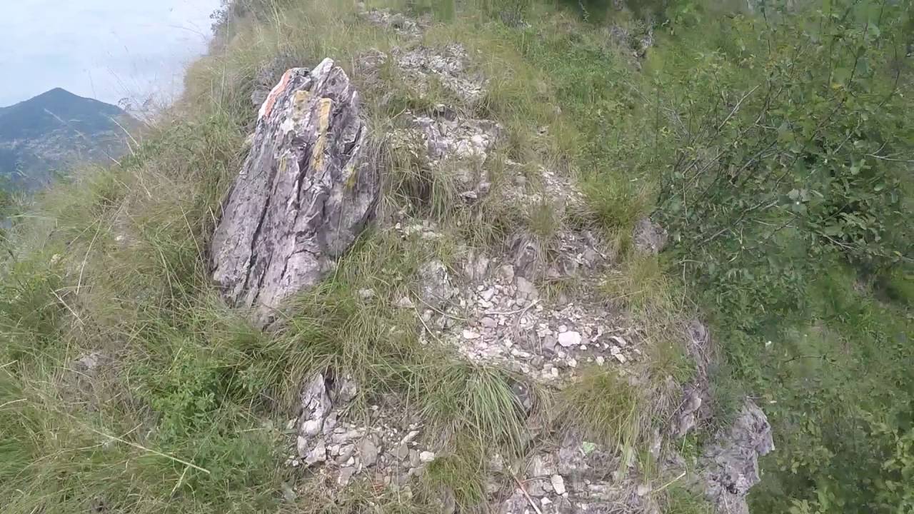 Vertical Trentapassi