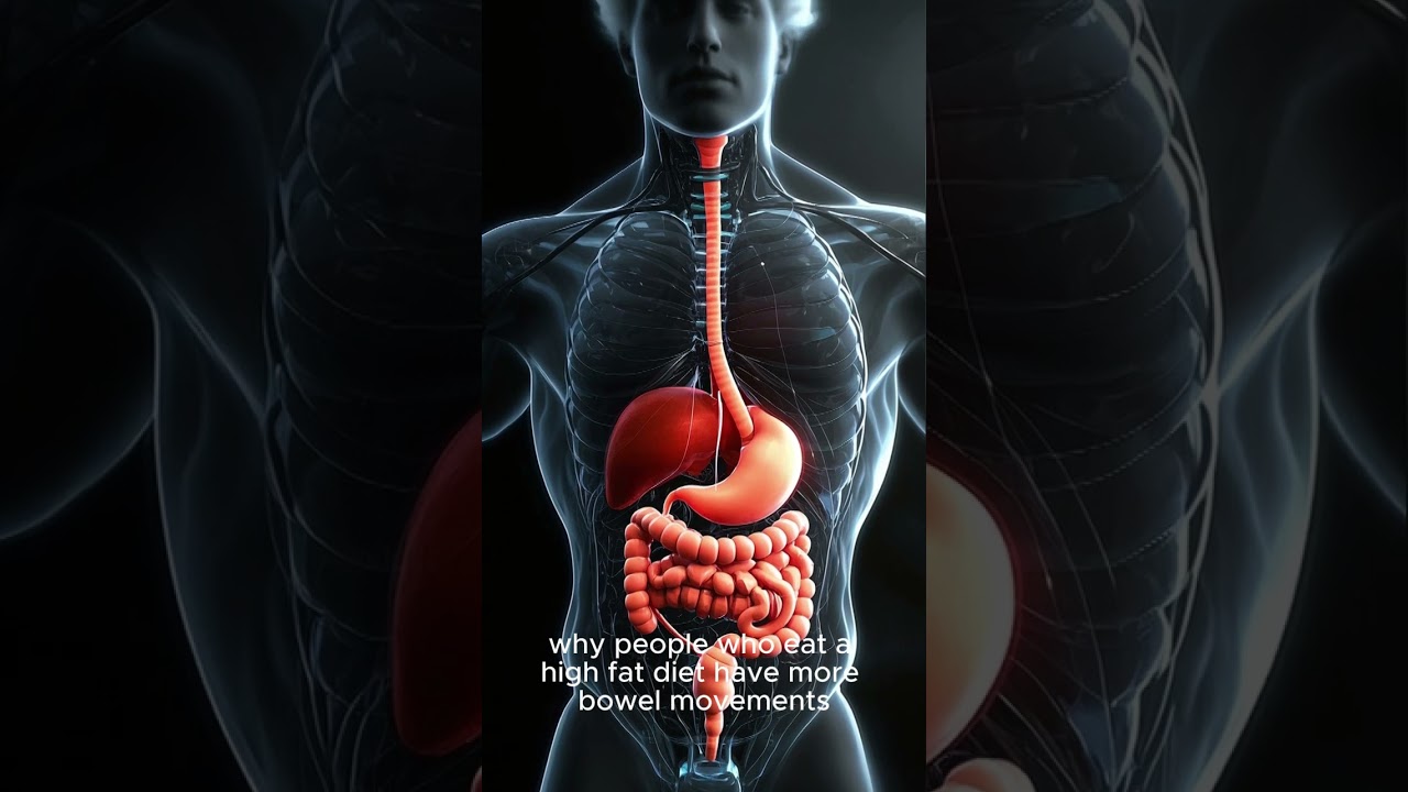 Cholecystokinin (CCK): Stimulates the release of digestive enzymes and bile.