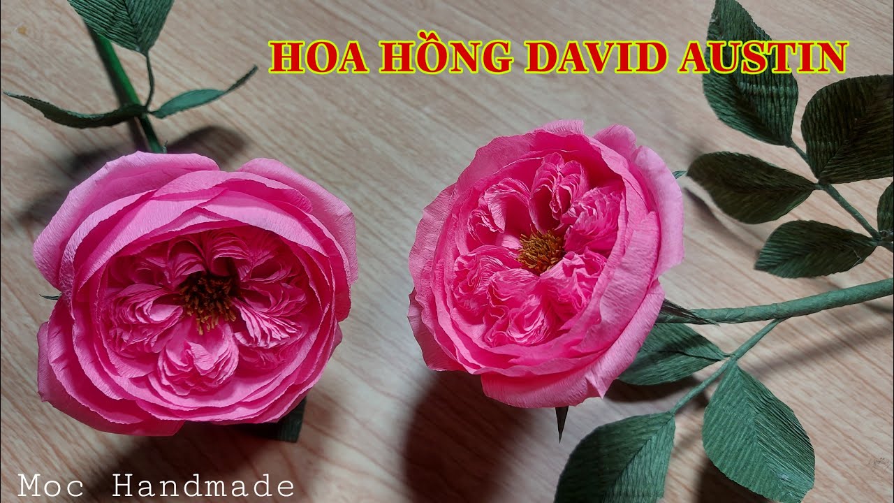 Cách làm hoa hồng David Austin từ giấy nhún Ý | How to make David Austin roses | Moc Handmade
