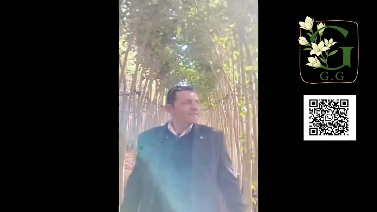 جرين جاردن أهلاً بكم معنا
