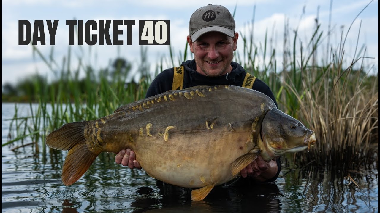Day Ticket 40, Pettitt's Lake | Extract