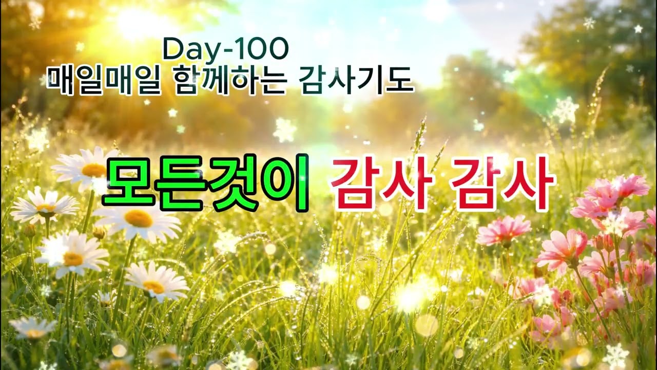 모든것이 감사 감사  #감사찬양#감사의고백#매일감사#그래도감사#감사합니다#잔잔한찬양#힐링찬양#묵상찬양#기도의노#은혜찬양#일상의은혜#하루의고백#마음이쉬는시간#위로의찬양#조용한기도