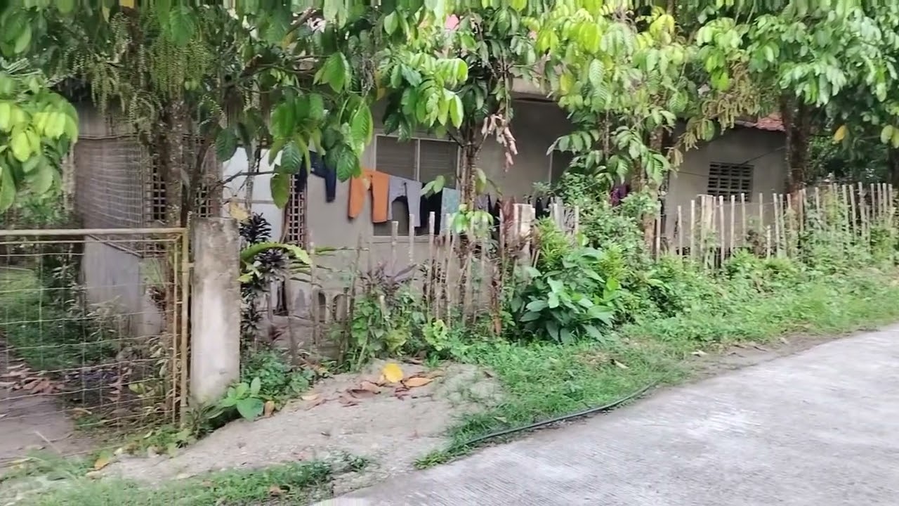 Dumaguete land/house for sale, 4 of them in one video