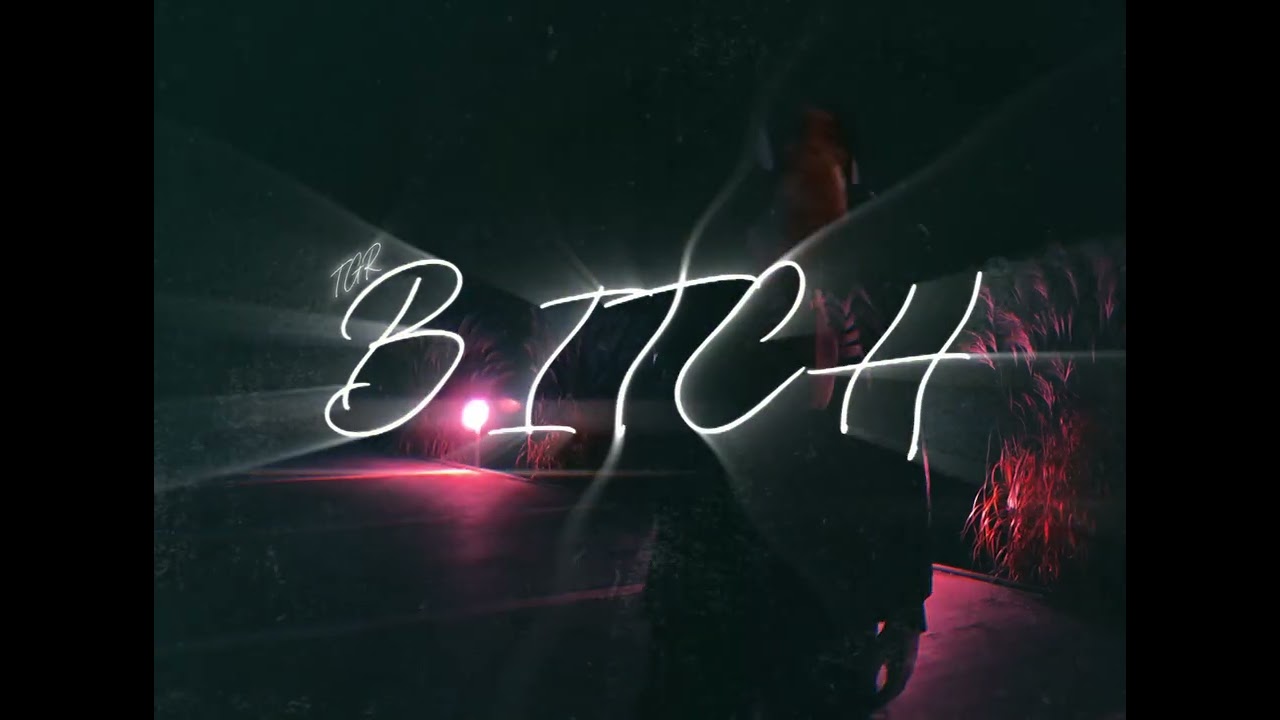 TGR - B!TCH (prod. branwen)